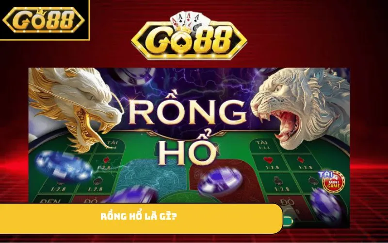 Rồng hổ là gì?