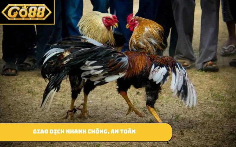 Giao dịch nhanh chóng, an toàn
