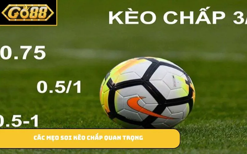 Các mẹo soi kèo chấp quan trọng
