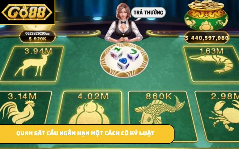 Quan sát cầu ngắn hạn một cách có kỷ luật