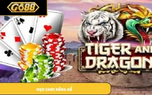Mẹo chơi Rồng Hổ